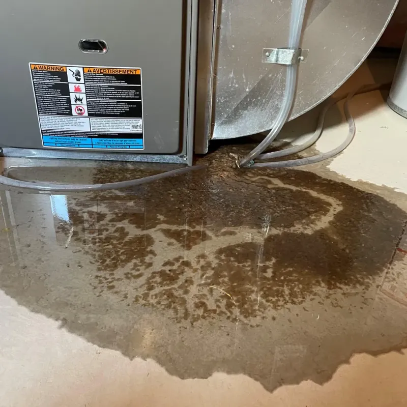 Appliance Leak Cleanup in Taylorsville, UT